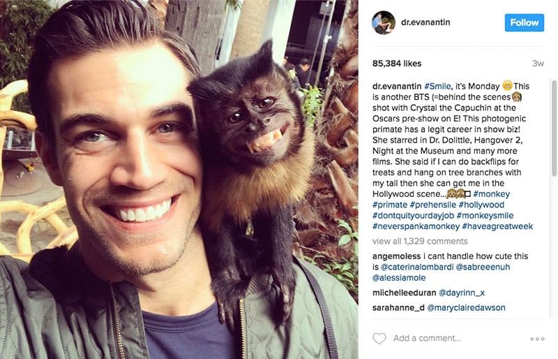 FOTOS: Se llama Evan Antin y es el veterinario mÃ¡s guapo de las redes sociales