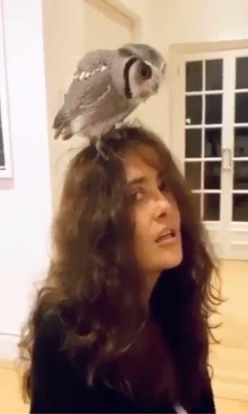 Salma Hayek And Her Owl