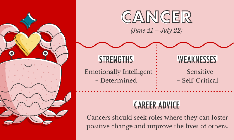 The Best Career Path Based On Your Zodiac Sign
