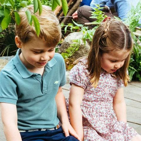 Proof Kate Middleton’s daughter Charlotte is the Princess of Braids - Photo 1